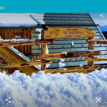 Chalet Die Berghexn Klippitztorl Екстериор снимка